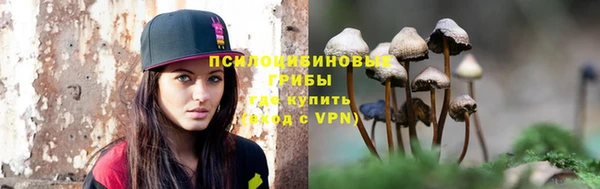 PSILOCYBIN Богородск
