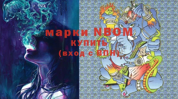 индика Аркадак