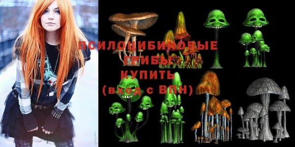 марки lsd Богданович