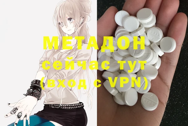 индика Аркадак