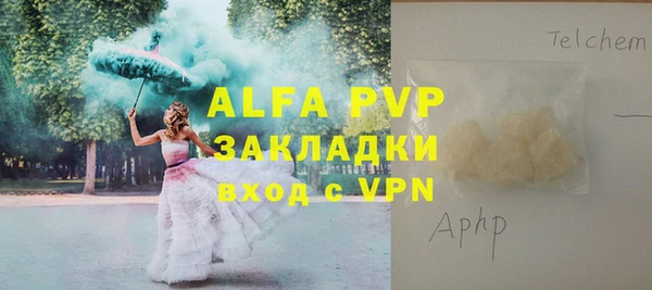 твердый Арсеньев